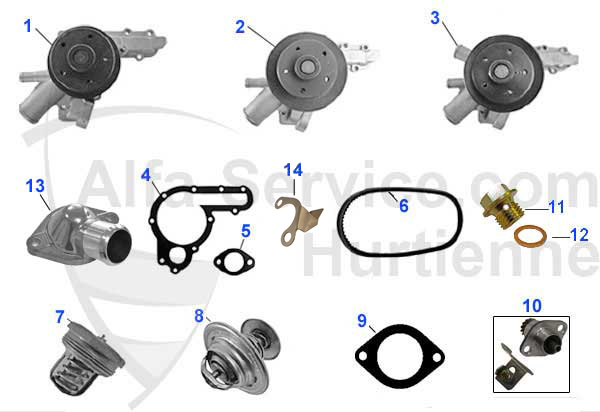 WATER PUMPS/THERMOSTATS