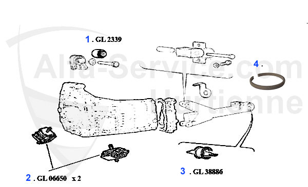 supporto trasmissione