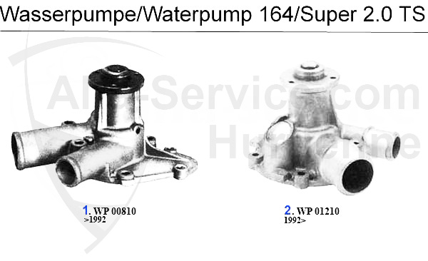 Wasserpumpe