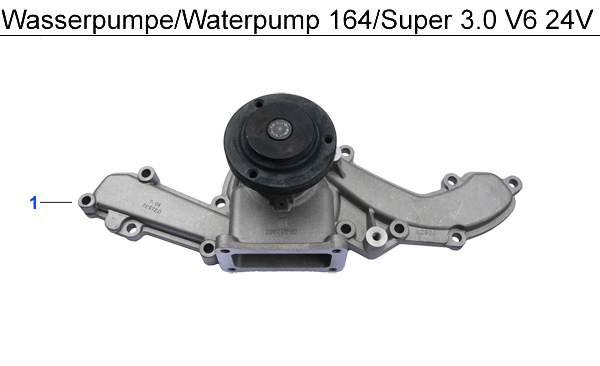 Wasserpumpe