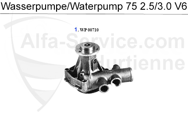 Wasserpumpe