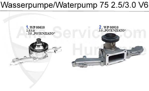 Wasserpumpe