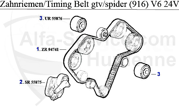 Courroie distribution