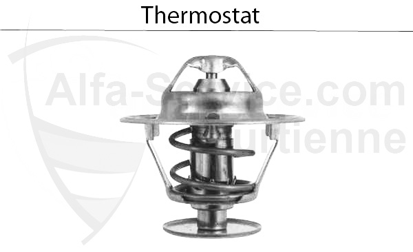 THERMOSTAT
