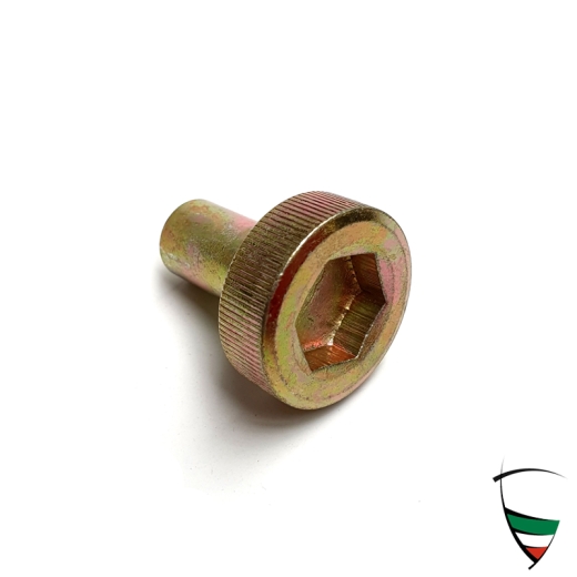 vite per coperchio valvola per 2600/101/105, giallo zincato