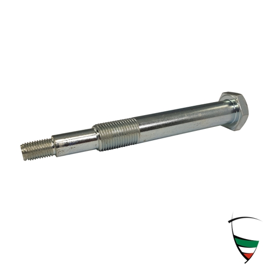 SCREW REAR TRAILING ARM