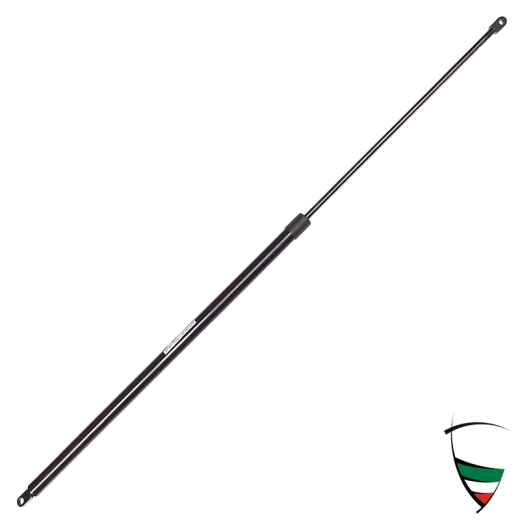 molla pneumatica cofano baule GTV (116)