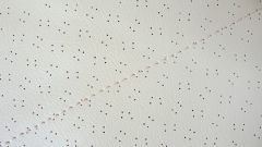 Habillage de toit, Crème, avec trous